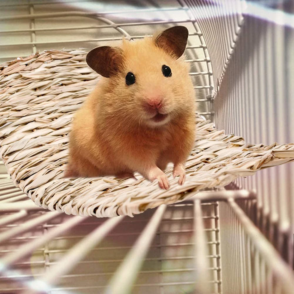 Straw Woven Pet Chew Toys