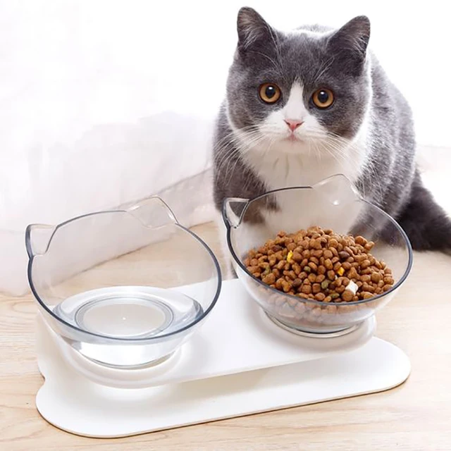 Double Cat Bowl Elevated Pet Non-Slip Water Feeder Bowl with Inclination Stand Small Medium Cat Dog Drinking Bowl Kitten Supples