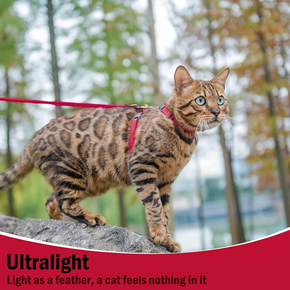 5-Pack Adjustable Cat Harness & Leash Set With Bells - Escape Proof Vest For Small To Large Cats