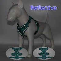 Harness and Leash Set Pet Accessories Dog Harness For Small Dog French Bulldog Pug Pitbull Puppy Pectoral Collar Chiens Supplies 4