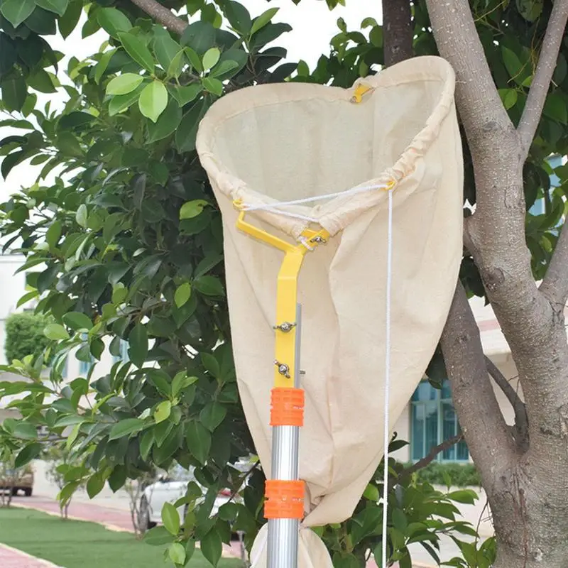 Reusable Bee Catcher Net for Safe Bee Transfer