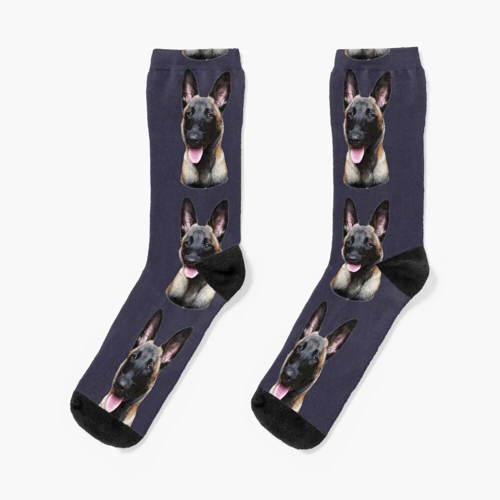 Belgian Malinois Puppy DogSocks Sport Socks Men Men'S Sock