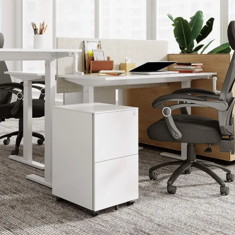 DEVAISE 2 Drawer Mobile File Cabinet with Lock Commercial