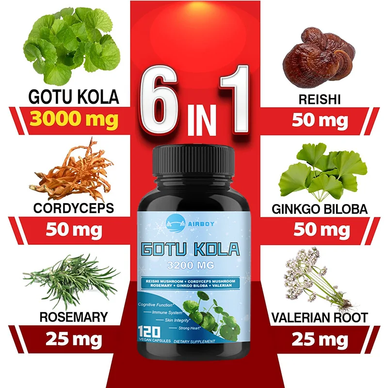 Gotu Kola Improve Cognitive Function and Skin Health Integrity Support The Immune System