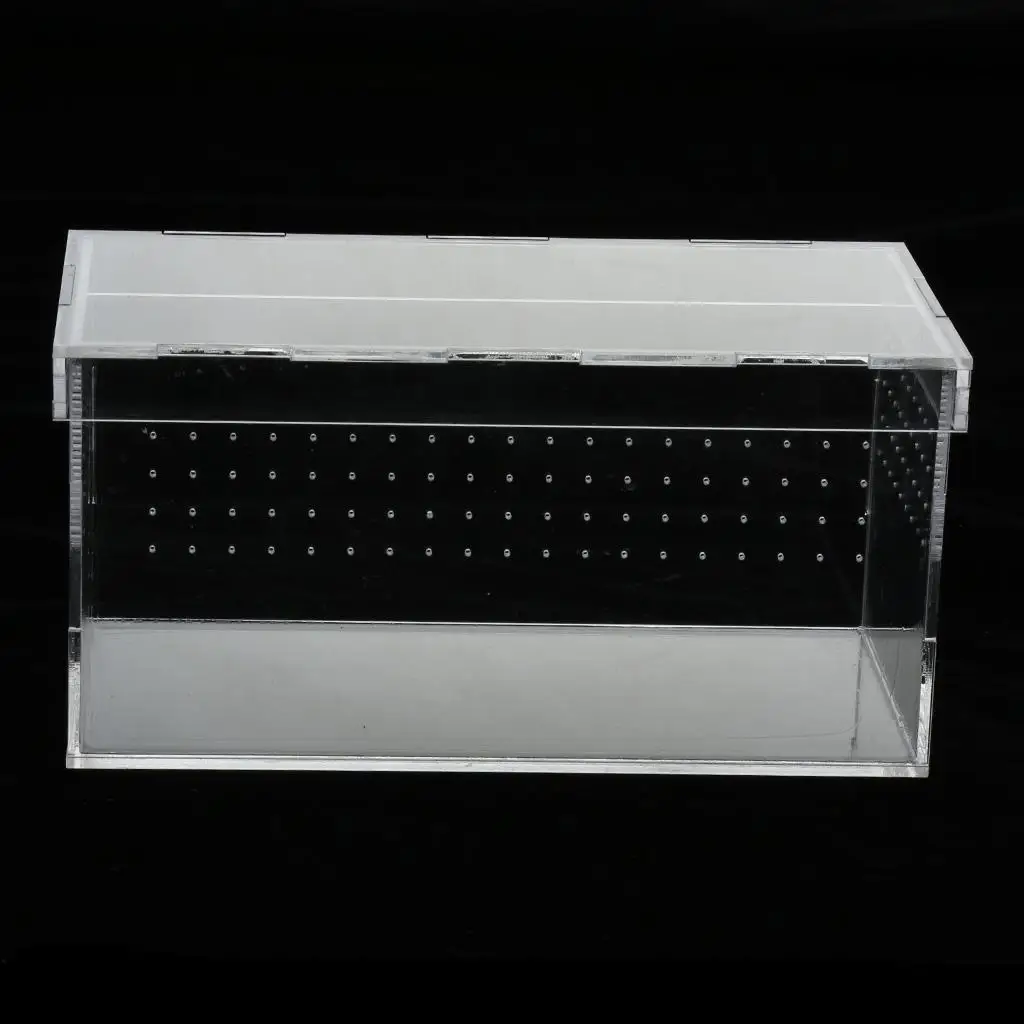 Plastic Reptile Vivarium Terrarium Easy to Observe with Reptile Terrarium Accessories for Small Animal Care