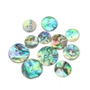 10PC Real New Zealand Abalone Shell Sparkling Round 2-hole Flatback Button Spacer Pendant Scrapbook Apparel Sewing Embellishment 4