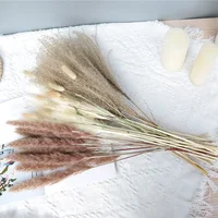 45cm Pampa Grass Bouquet Dried Natural Flowers