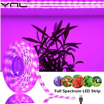 USB LED 성장 조명, 전체 스펙트럼 식물 조명, DC5V 스트립 피토 램프, 야채 꽃 모종 성장 텐트, 온실 수경 재배