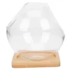 Micro Landscape Ecological Bottle Terrarium Glass Florarium Plants for Flower Pot Succulent Vase Flowers 1