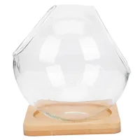 Micro Landscape Ecological Bottle Terrarium Glass Florarium Plants for Flower Pot Succulent Vase Flowers 1
