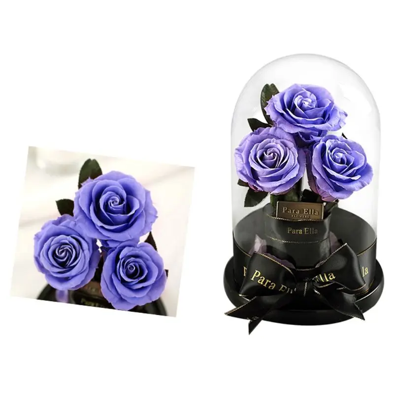 

Rose Handmade Preserved Rose Glass Dome on Wood Base