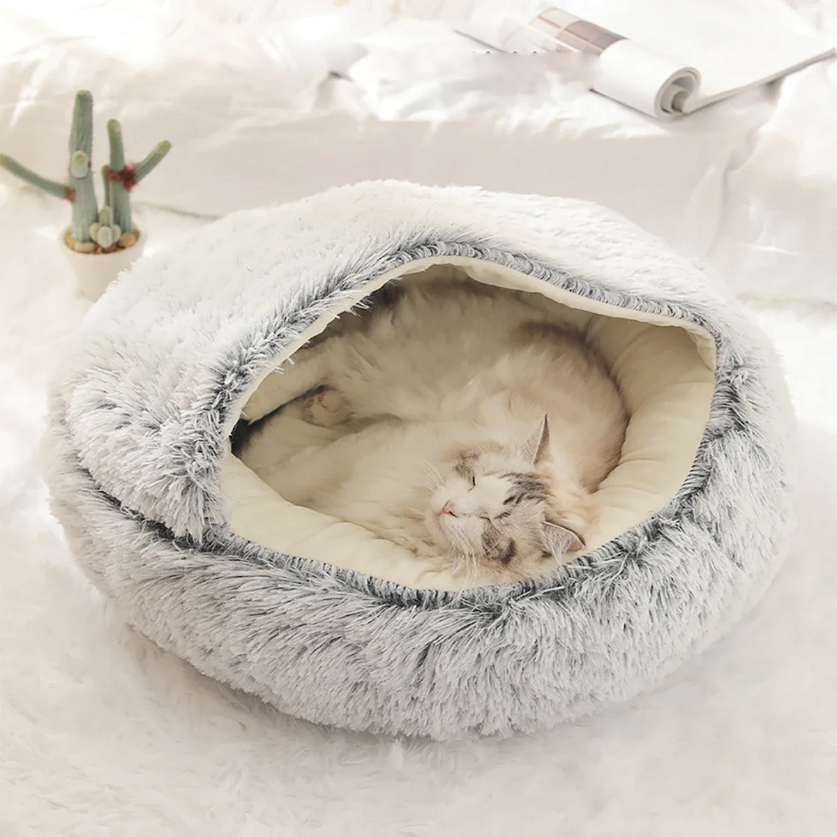 pet bed 6
