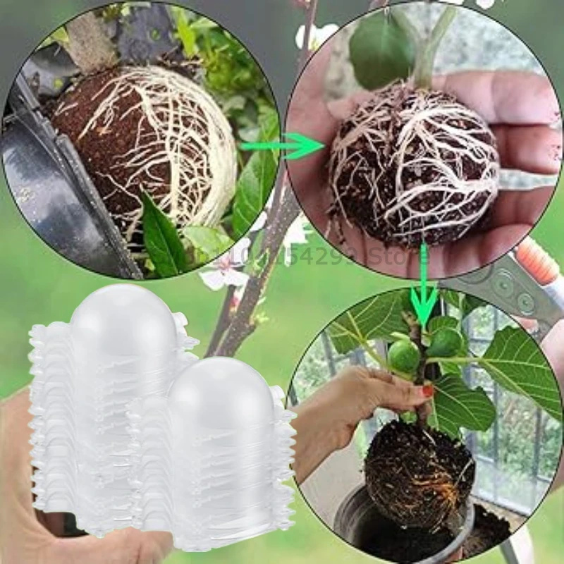 Reusable Plant Rooting & Propagation Ball