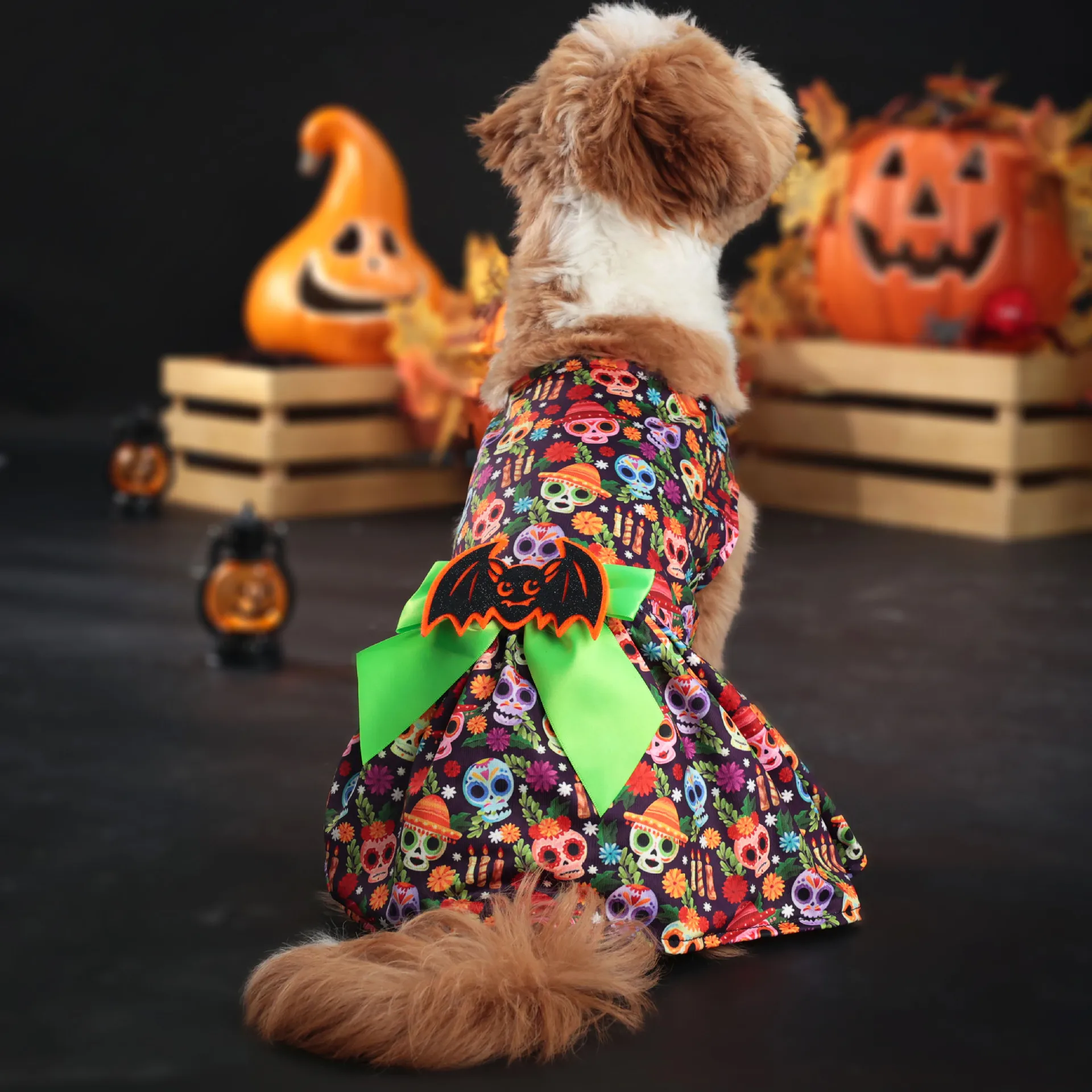 Robe Tête de Mort Amusante Halloween - Tenue Halloween 2024 - 2025 - Vêtement et accessoires pour chiens - Doglovedesign