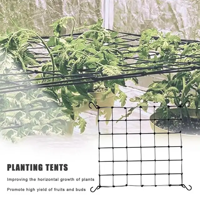 Filet De Treillis élastique 70x70 Cm Avec 4 Crochets - Support Pour Tomates, Concombres, Plantes Grimpantes - Jardin, Balcon, Serre
