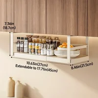 Stainless Steel Shelves Adjustable Spice Stand Storage Room Kitchen Metal Expansion Cabinet Kitchen Hanging Seasoning Rack 3