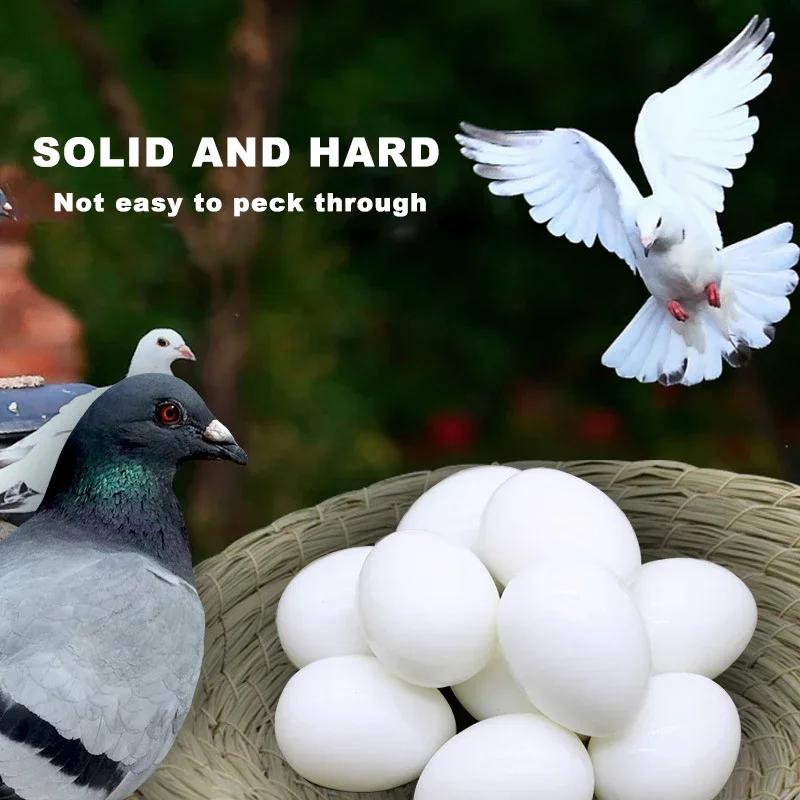 10PCS Imitation Fake Pigeon Eggs Plastic Solid White Pigeon Eggs Bird Training Supplies Children Toys Breeding Supplies - Image 2