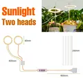 2 Head Sunlight