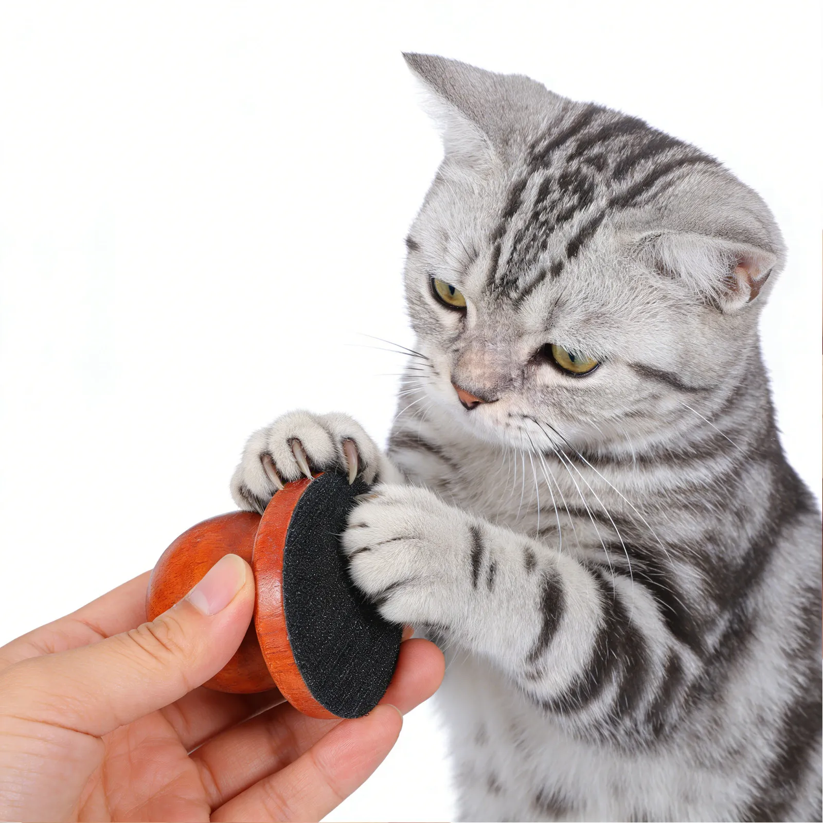 1세트 강아지 발톱 파일링 보드 교체 가능 디스크 나무 발톱 관리 인체공학적 손잡이 소형견 및 강아지용 그루밍 도구