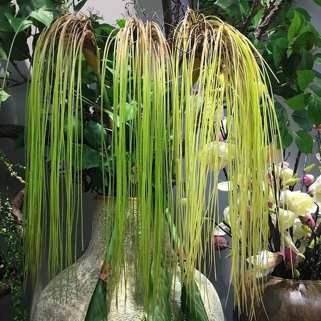 Simulazione di foglie di erba di plastica artificiale piante finte da appendere alla parete decorazione della casa Plantas Artificiales accessori per la casa 6