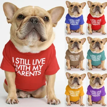 Heartwarming Spring & Summer Pet Attire 3