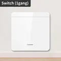 1Gang Switch