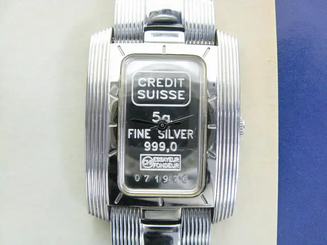 クレディ・スイス fineSilver 999.0 ネックレス Twenty One Century