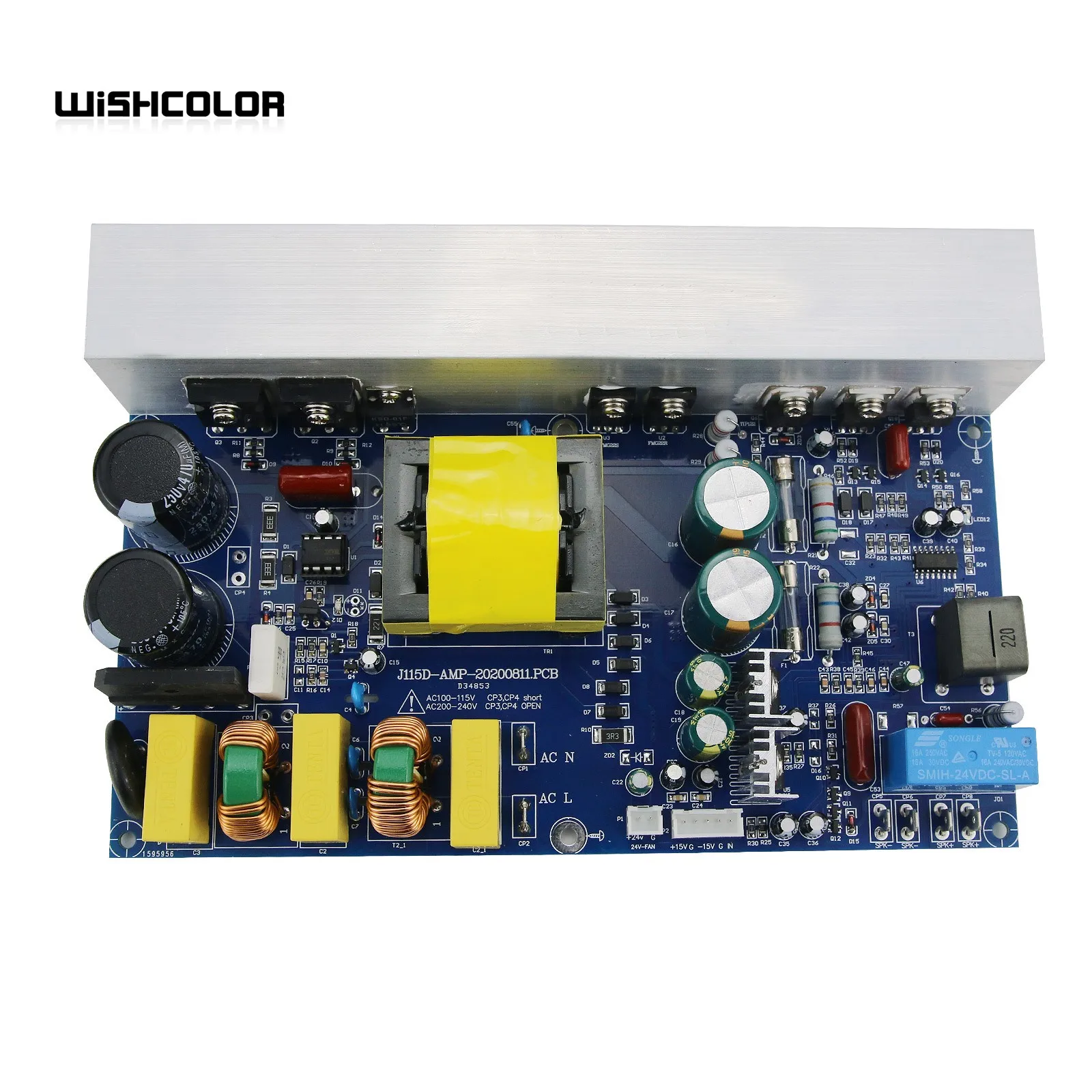 위시컬러 피크 1000W 클래스 D 파워 앰프 보드 모노 파워 앰프 보드 (스위칭 전원 공급 장치 포함)