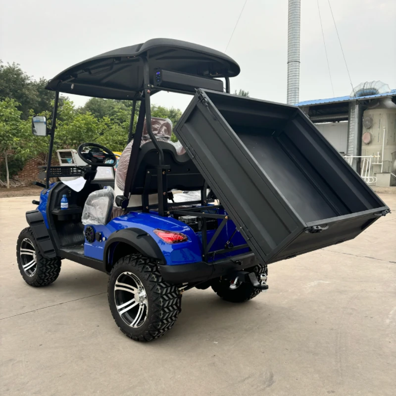 Newly Launched 2-Seater Electric Golf Cart 5KW 60v Li ion Battery Pack 48v Lithium Battery Golf Cart With Rear Cargo Box