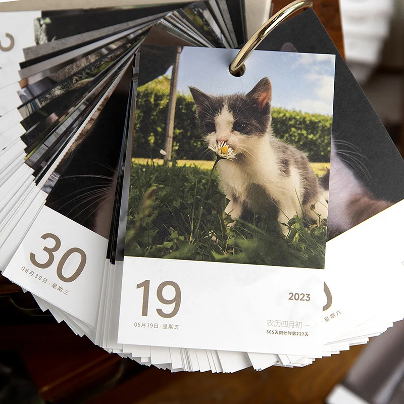 Every Day Calendar 2023 | Calendars 2023 Cats | Cat Calendar 365 | Desk  Calendar - 2023 365 - Aliexpress