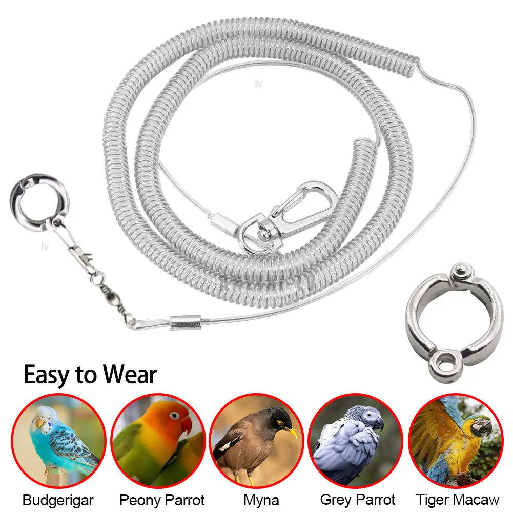 Bird Foot Chain Parrot Anti-Flying Traction Rope Bird Feet Bracciale Lega Piede Anello Pet Bird Flying Travel Training Guinzaglio