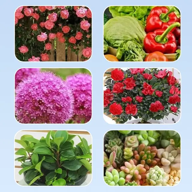 Kerti Növény Gyors Virágot Elősegítő Tápanyag-Oldat Beltéri Háztartás 50 Ml Virágcsökkentő Lombműtét - Image 4