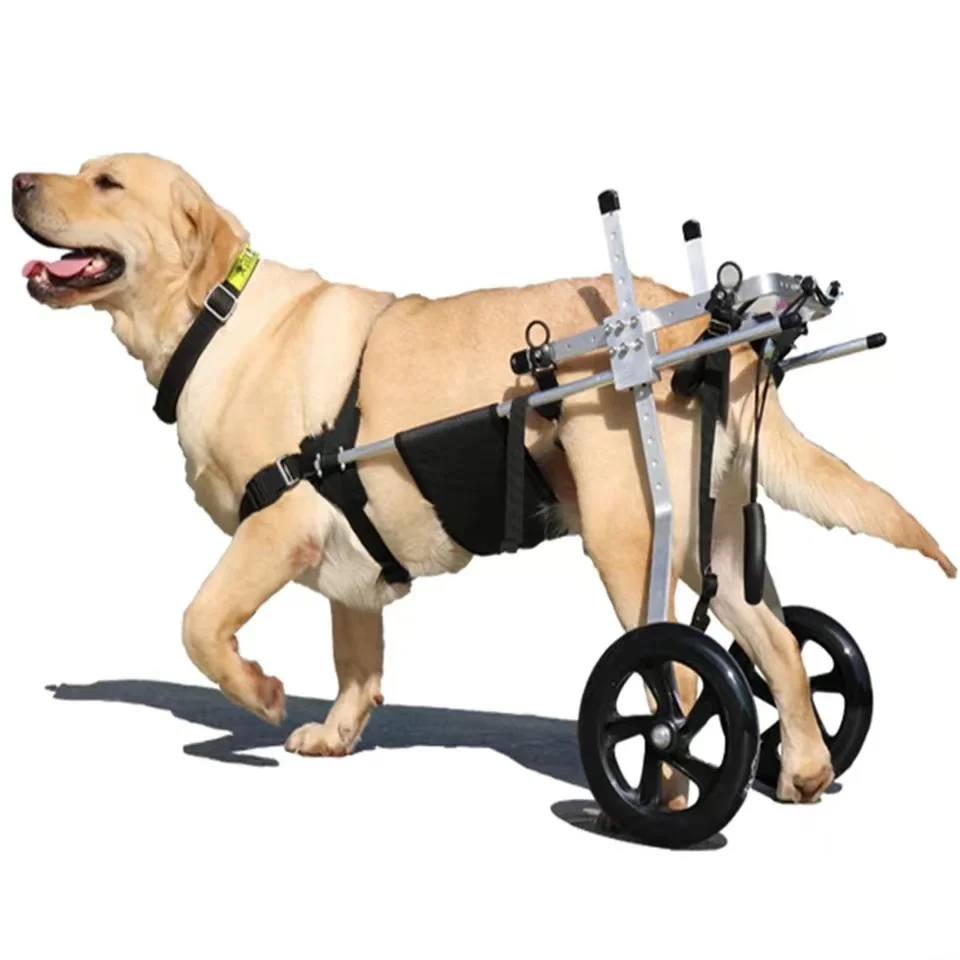 Medium and large dog wheelchair car pet hind limb lumbar paralysis rehabilitation training scooter