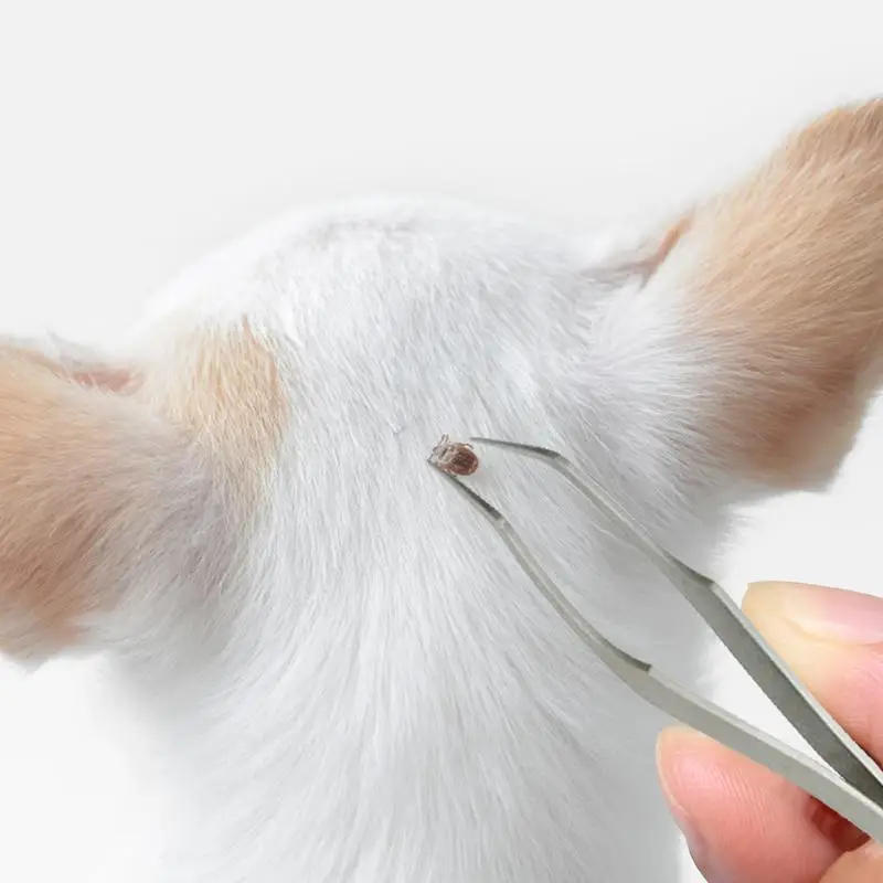 2 In 1 Tick Remover Tool Professional Tick Removal Tweezers For Humans & Pets Pets Flea And Tick Removal Tick Remover Tools 2