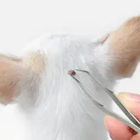 2 In 1 Tick Remover Tool Professional Tick Removal Tweezers For Humans & Pets Pets Flea And Tick Removal Tick Remover Tools 2