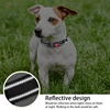 Night Reflection Dog Pet Towing Rope Pet Walking Training Leash Luminous Collar Adjustable Dog Collar Pet Safety Harnes Collar 5