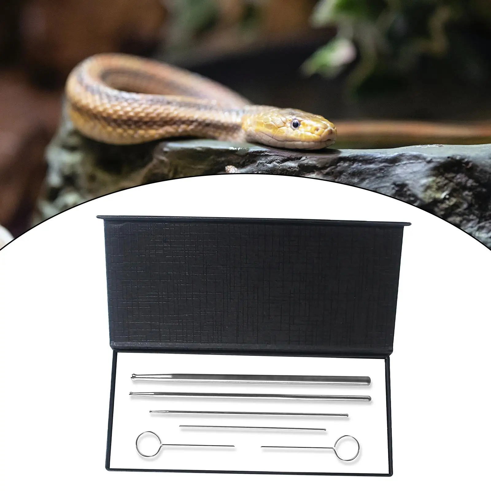 Reptile Snake Gender Detection Tool for Different Size Assorted Color