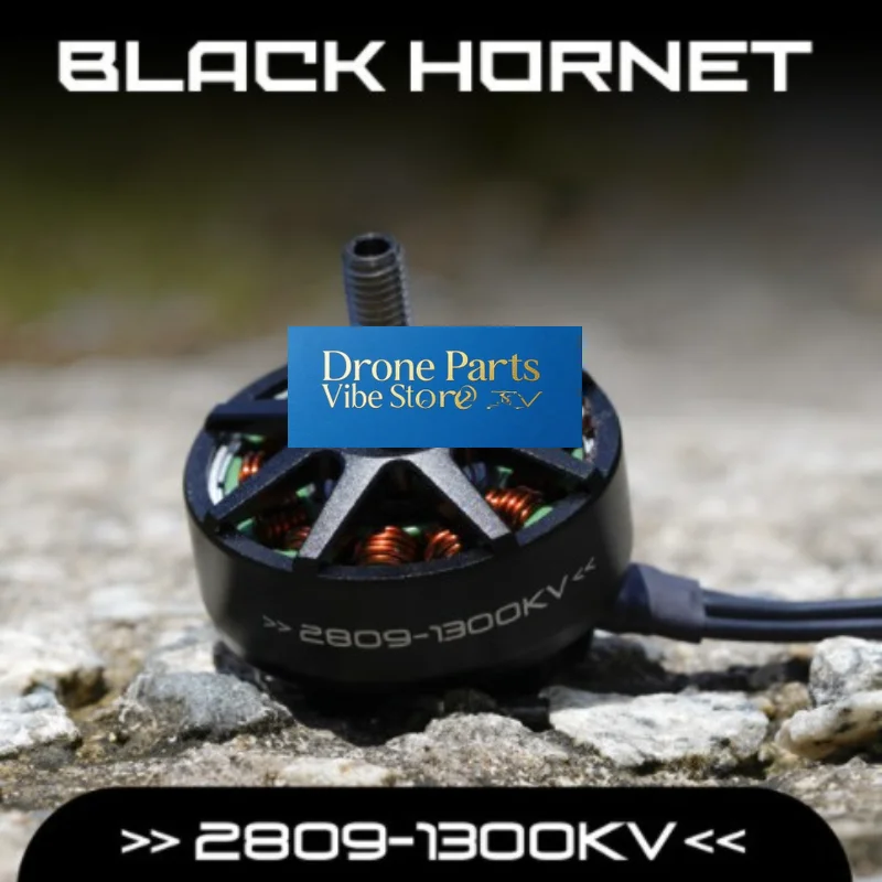 Drone Parts Foxeer Black Hornet 2809 Motor 1300KV 4 6S FPV Racing Drone Brushless For RC Quadcopter thumbnail 5