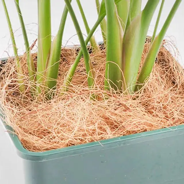 Kókuszdió Héja Rost Orchideák Kézműves Kisállat Ágynemű Rovarbiztos Védelem - Image 4