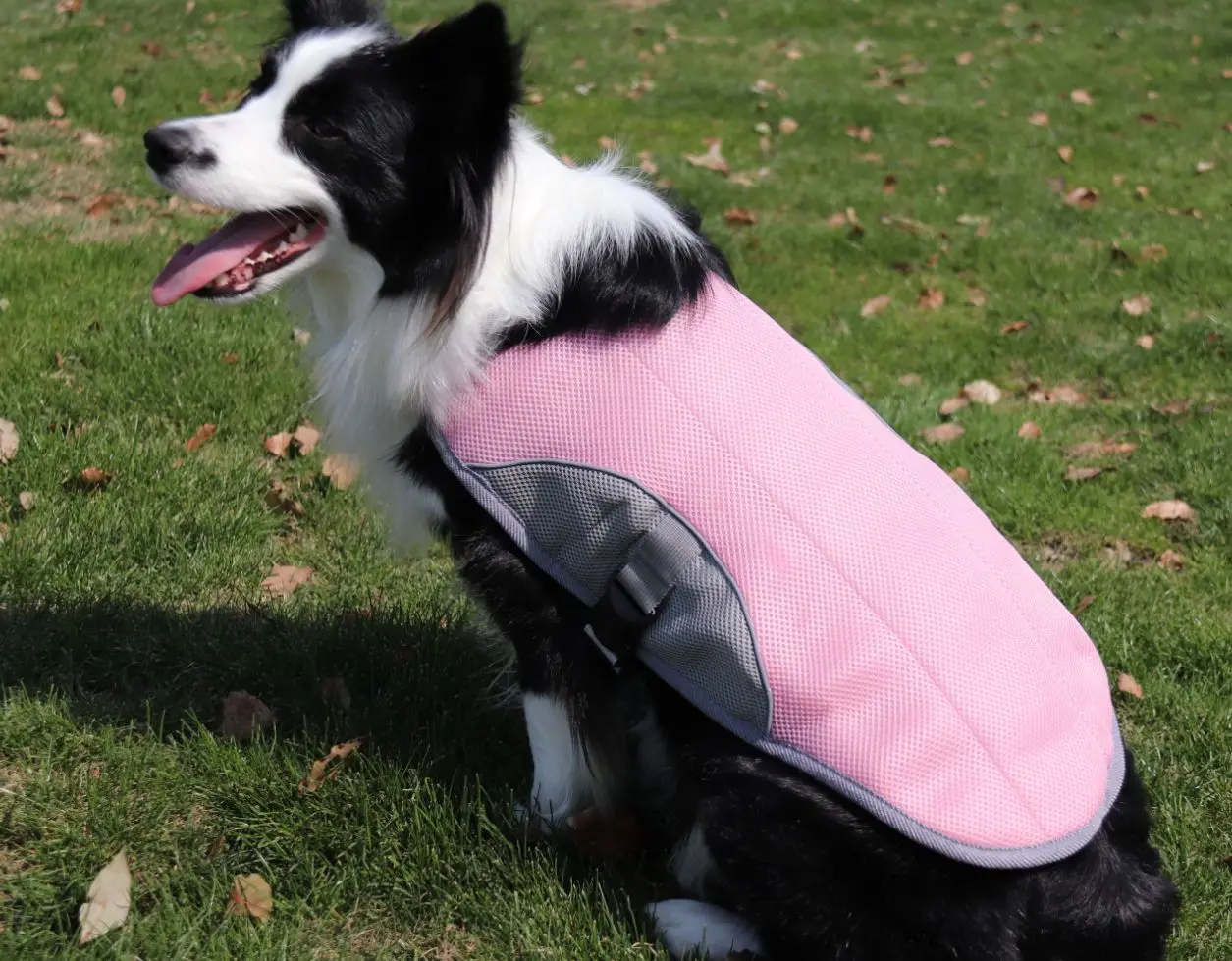 Cool Summer Dog Cooling Vest Reflective Harness Cooler Jacket