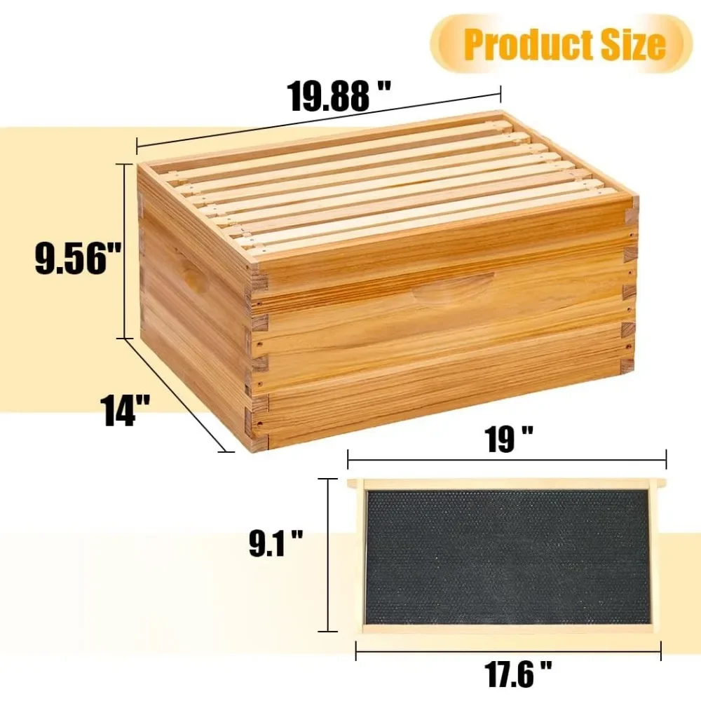8 Frame Bee Hive Starter Kit and Beekeeping Supplies with Beehive Tool Kit Includes Bee Smoker Beekeeper Hat