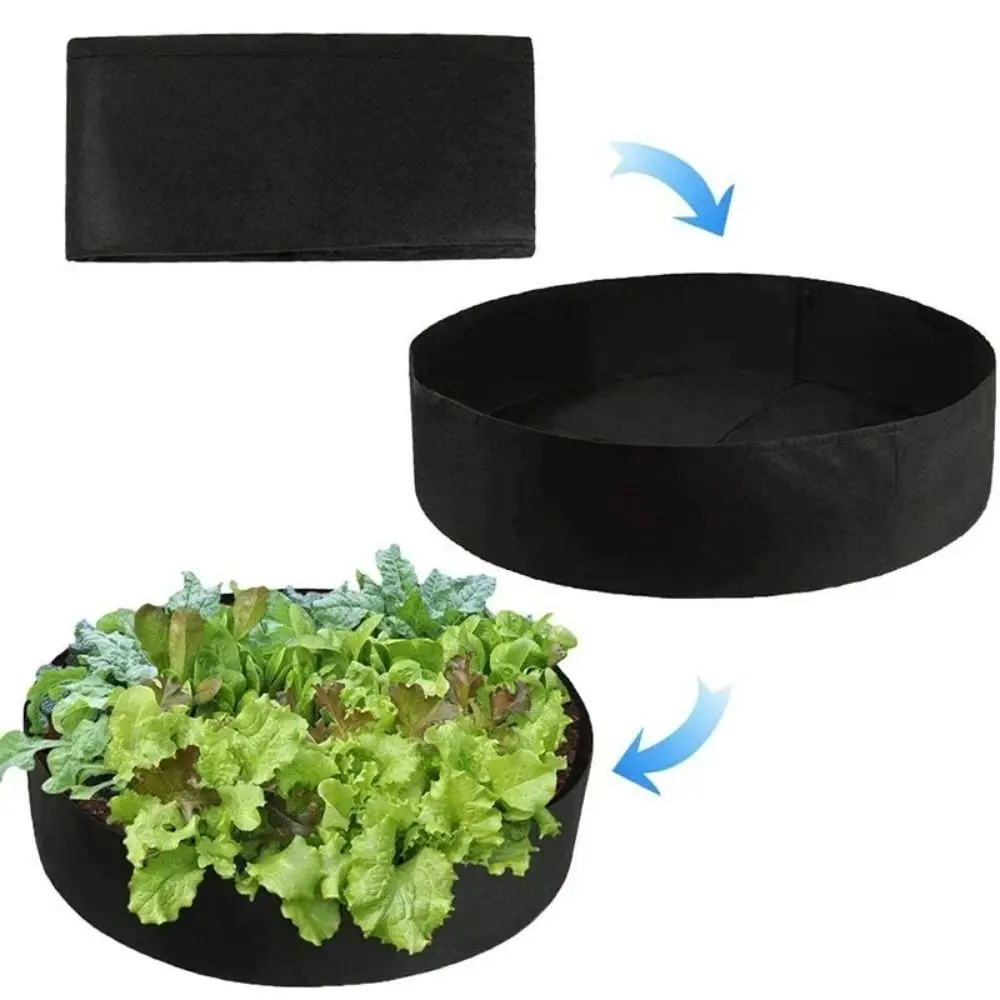 Plants thriving in fabric grow bag