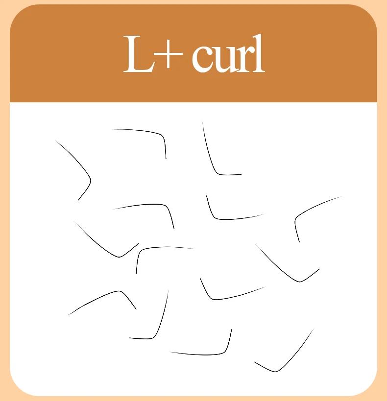 H&L SINCE 1990 16 Reihen Special Curl L/L+LD/LC/M Curl 8–15 Länge Falsche Wimpern Bulk-Wimpernverlängerungszubehör Natürlicher Look – Detail 11