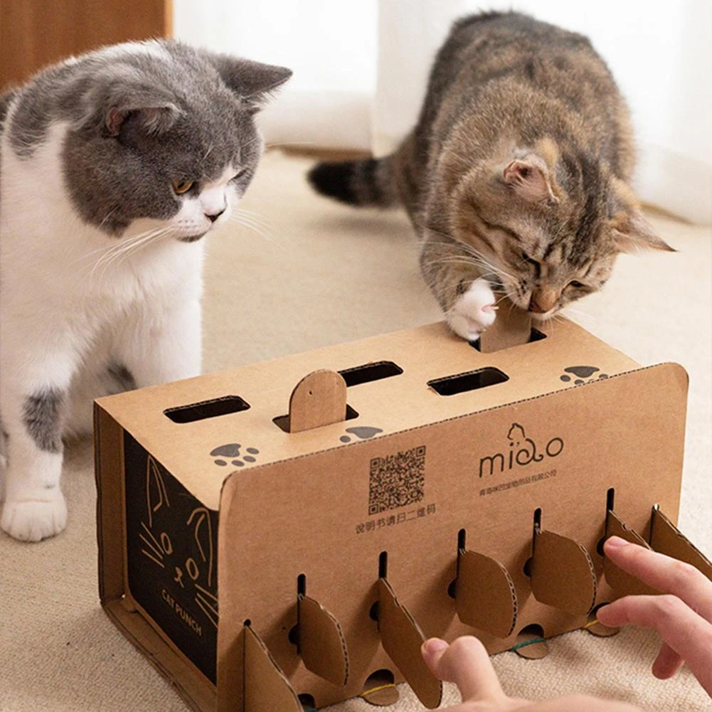 Carton Interactive Mole Mice Game Toy Diy Pop Up Puzzle Exercise Training  Toys Cat Scratch Toy Pet Supplies| | - AliExpress