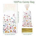 100pcs candy bag