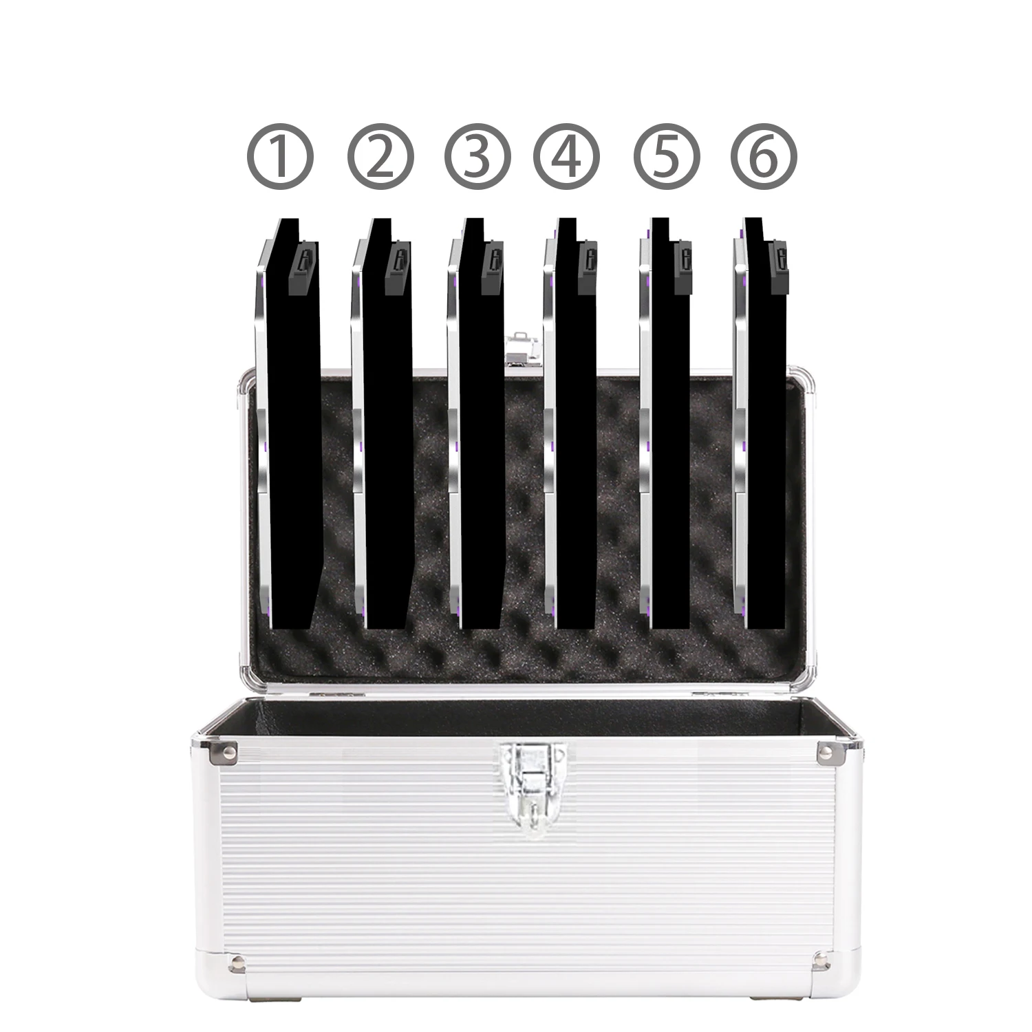 Hard Drive Box Case, Armazenamento e Proteção, 6 x Interno, 3.5