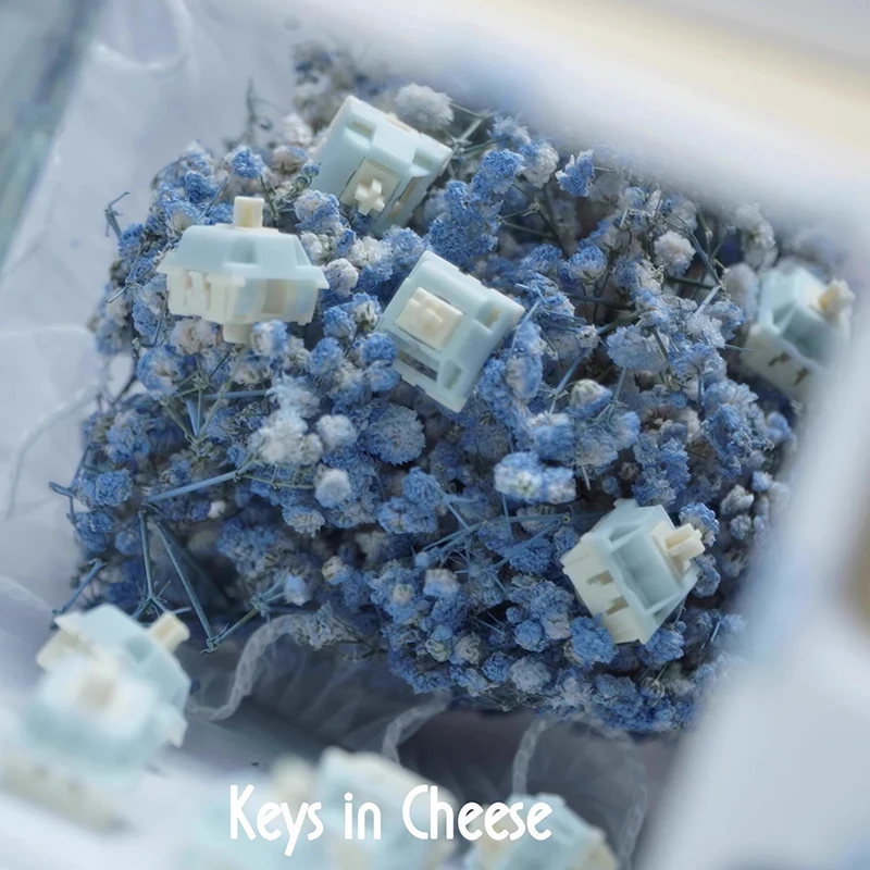 Keygeek Blue Cheese Switches Mx Structure Linear Axis Customized