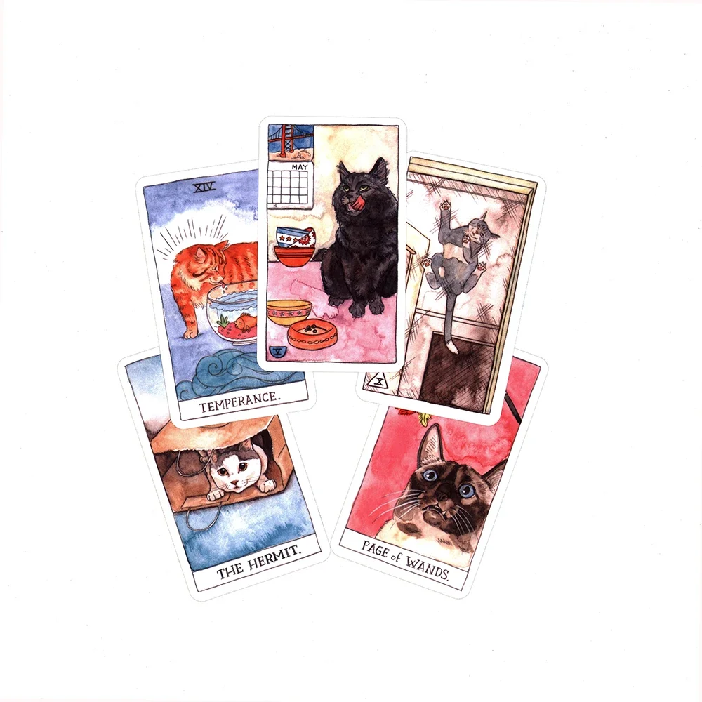Cat Divinatio Tarot Cards For Beginners 4