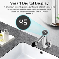 Briwellna salle de bains robinet électrique en acier inoxydable robinet d'eau chaude 220V Mini chauffe-eau robinet d'eau chaude instantanée mélangeur 2 en 1 5
