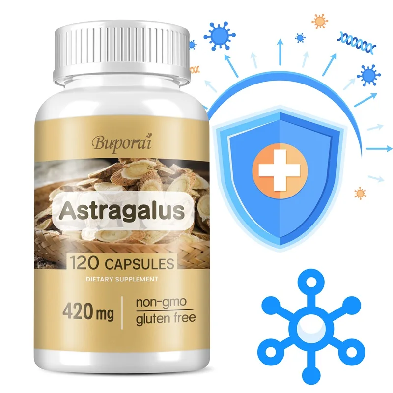 Astragalus-Supports Digestive Health, Promotes Overall Well-being and Relieves Stress
